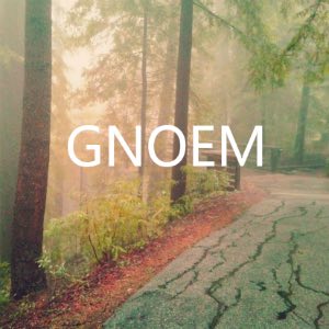 GNOEM by Joyce Lin & Matthew Reed