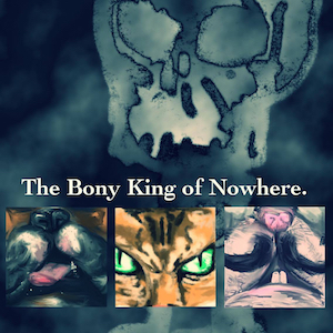 The Bony King of Nowhere by Luke A. Jones
