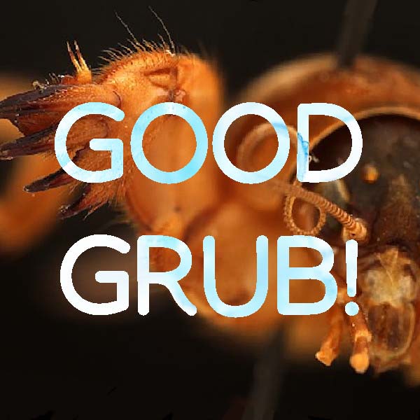 Good Grub! by Damon L. Wakes
