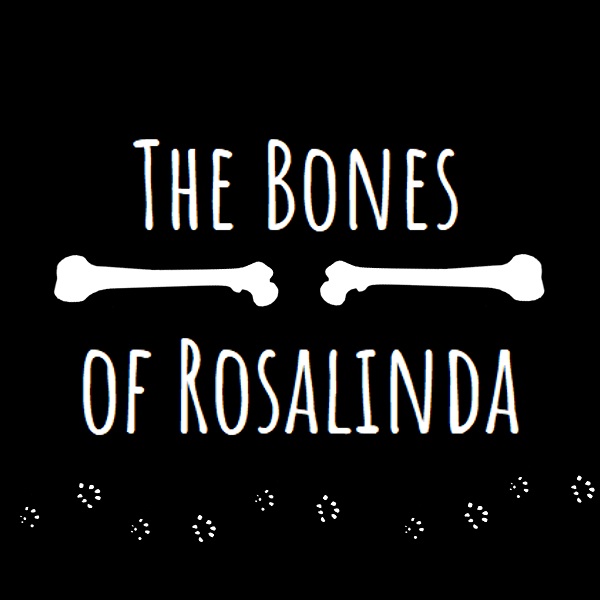The Bones of Rosalinda by Agnieszka Trzaska